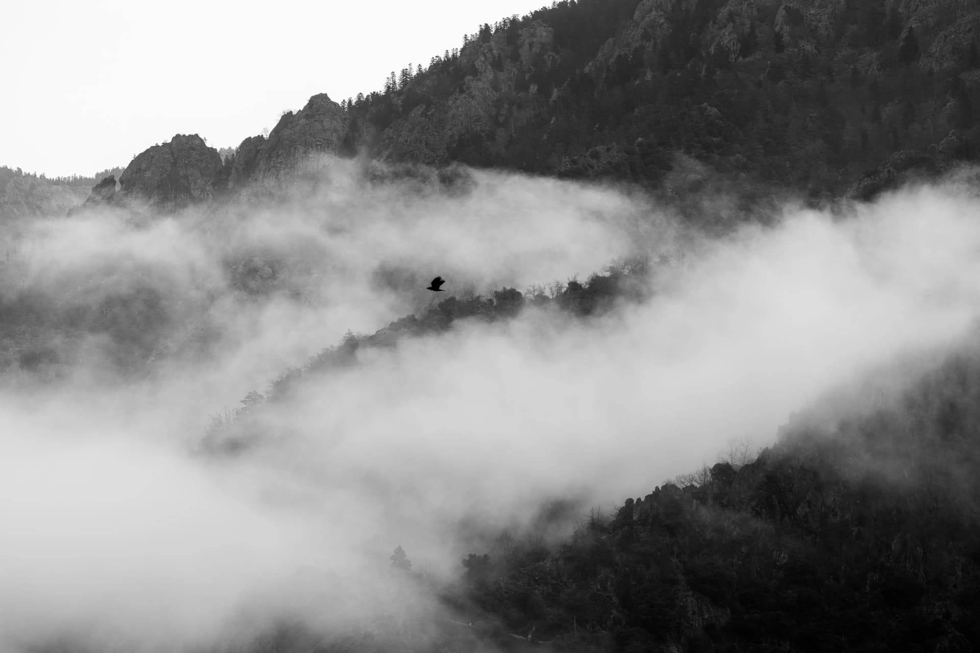 Paysage du Parc de Casteil