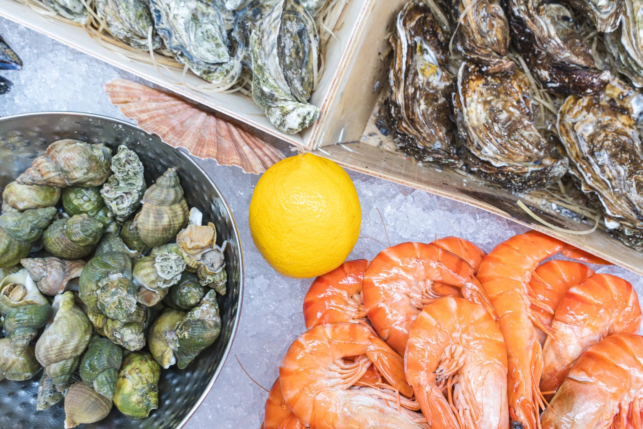 Seafood2