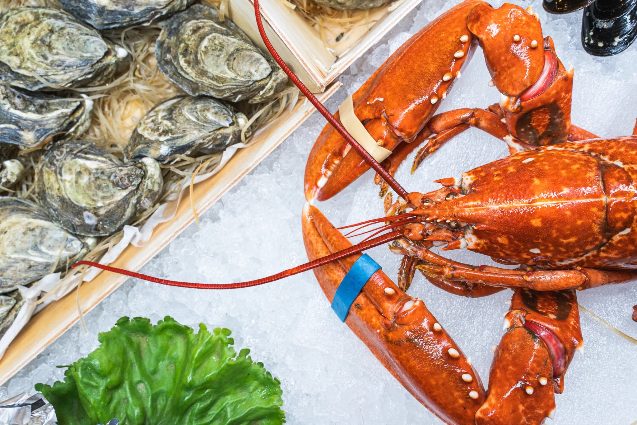 Seafood